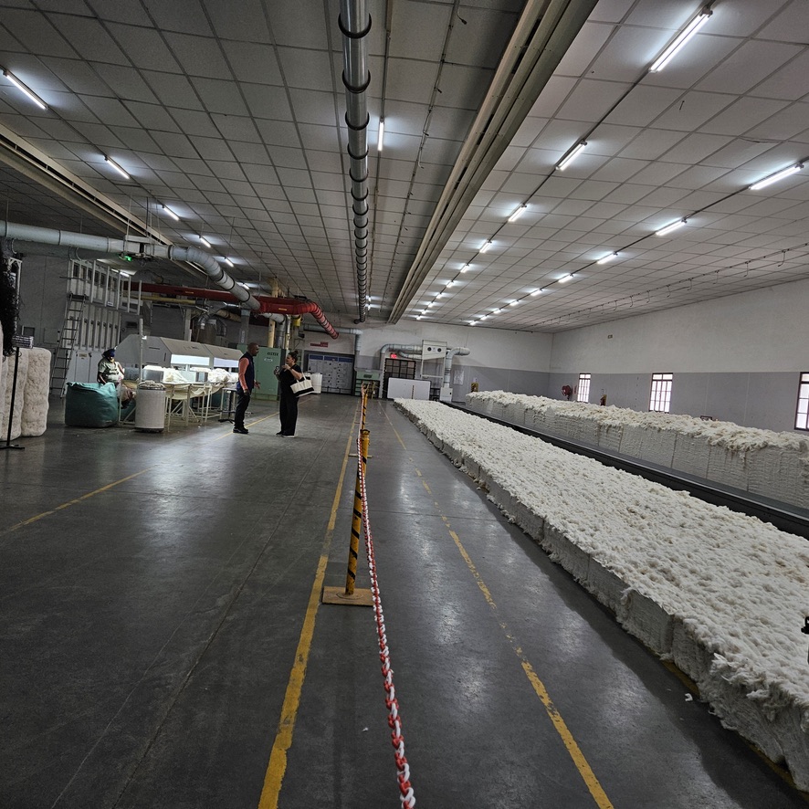 Raw cotton processing facility