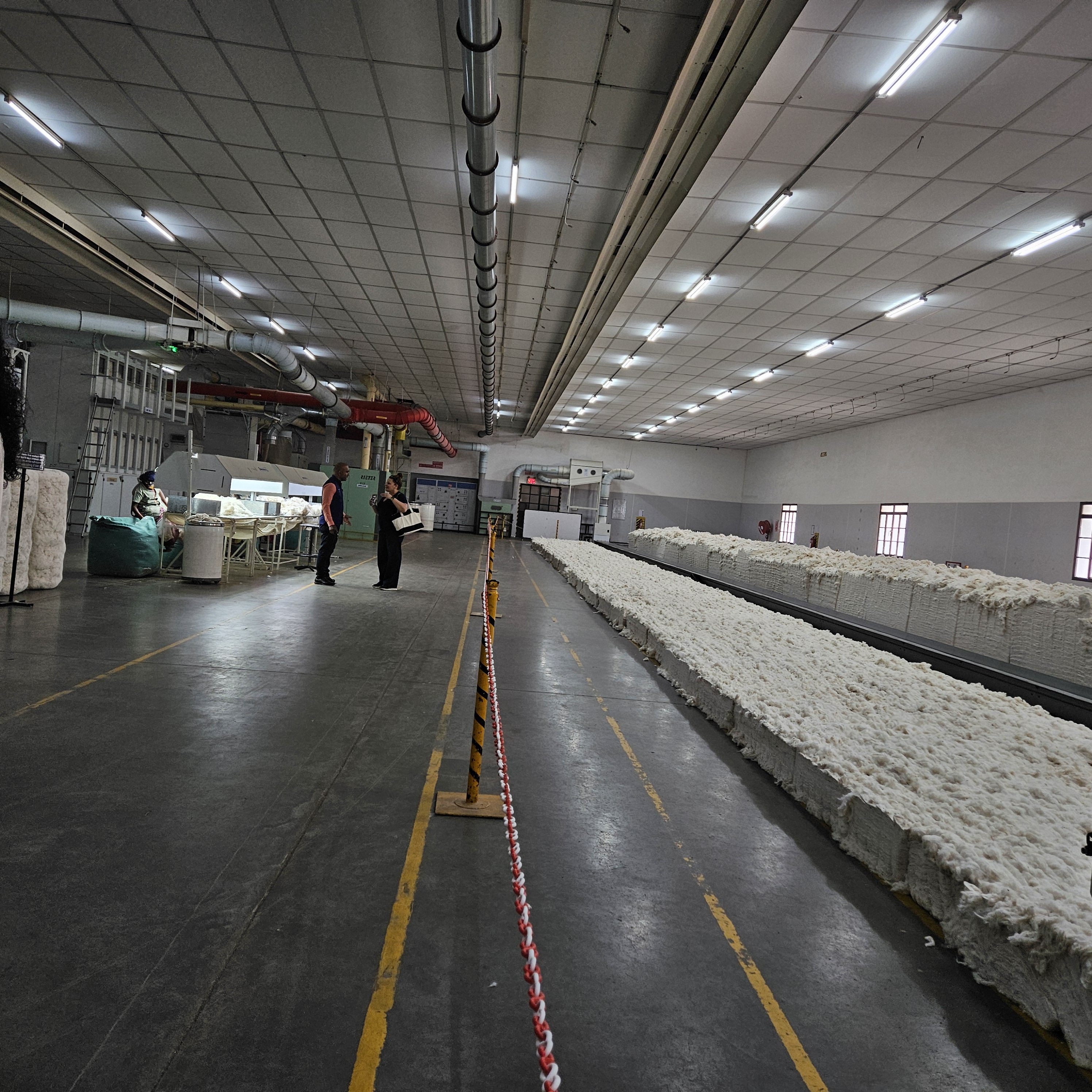 Raw cotton processing facility