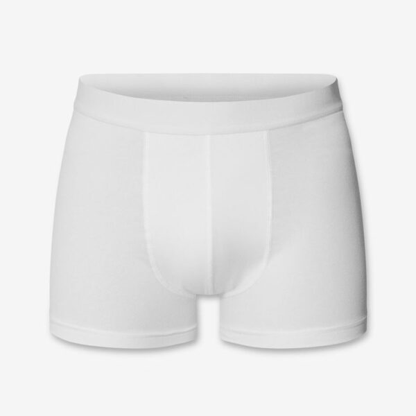 Boxer Brief - Image 4