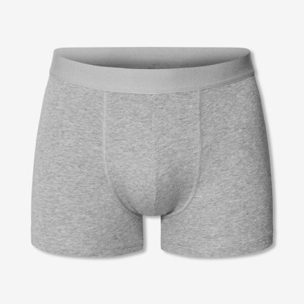 Boxer Brief - Image 3