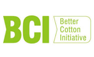 bci